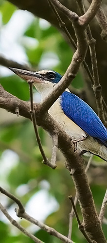 Prouvènco Naturo