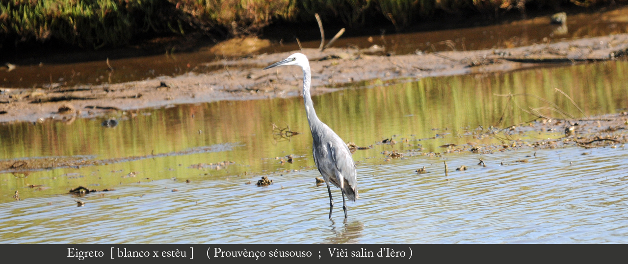 prouvenco-naturo.fr